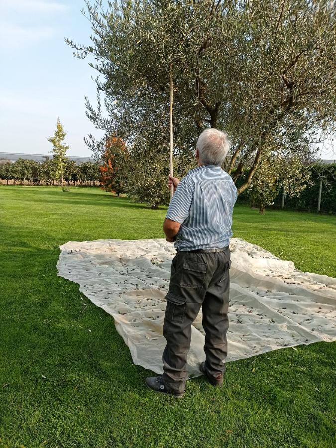 Willa Borgo D'Asolo San Vito Di Altivole Zewnętrze zdjęcie
